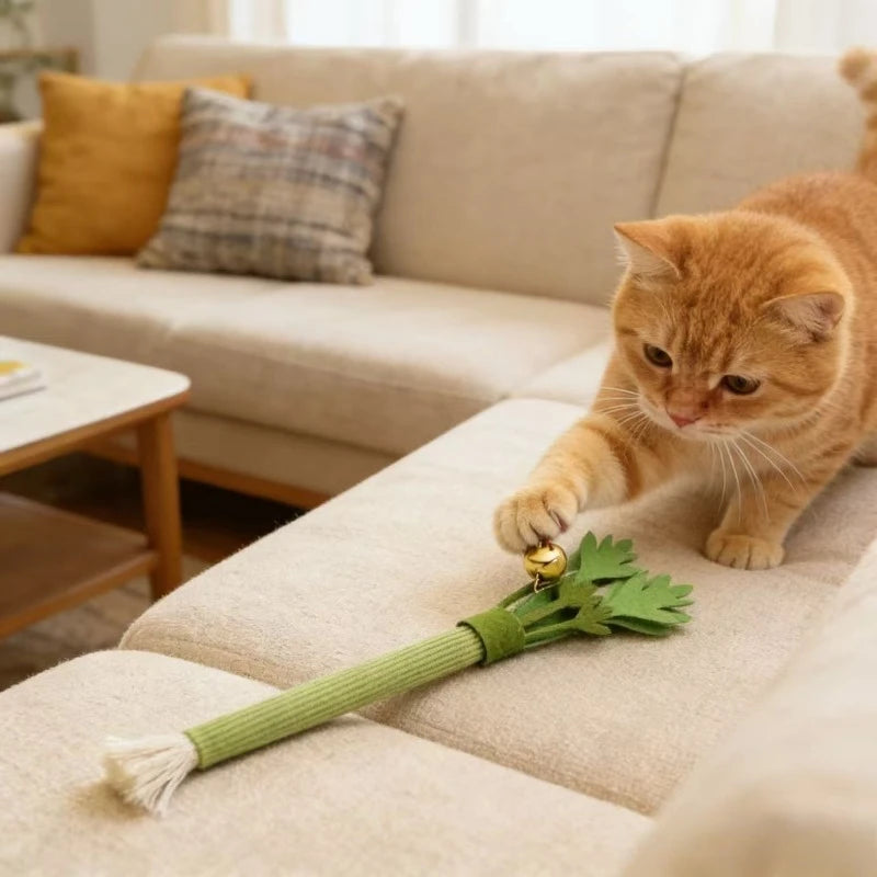 Jouet à mâcher pour chat