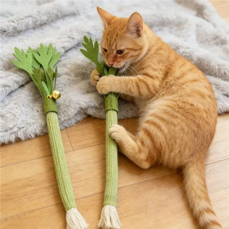 Jouet à mâcher pour chat