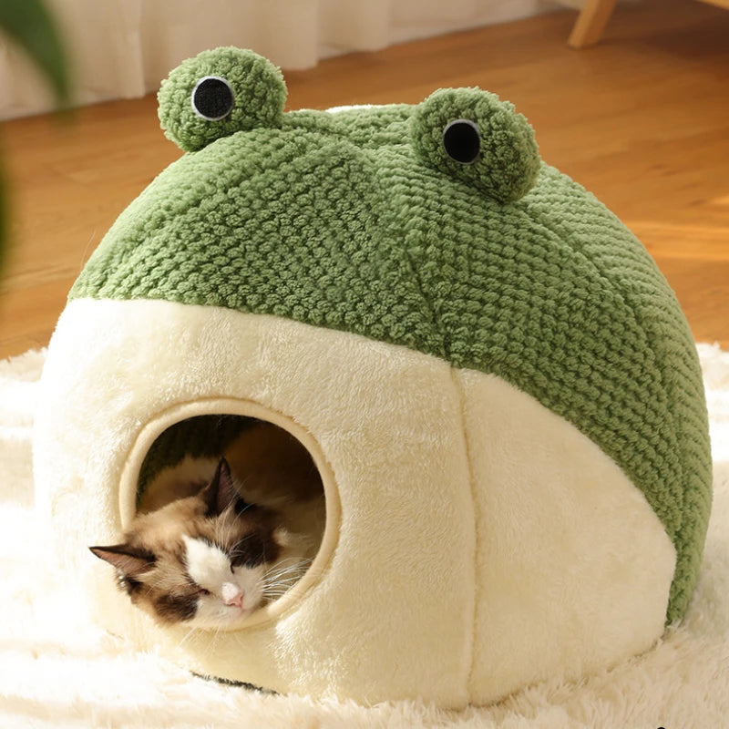 Nid grenouille