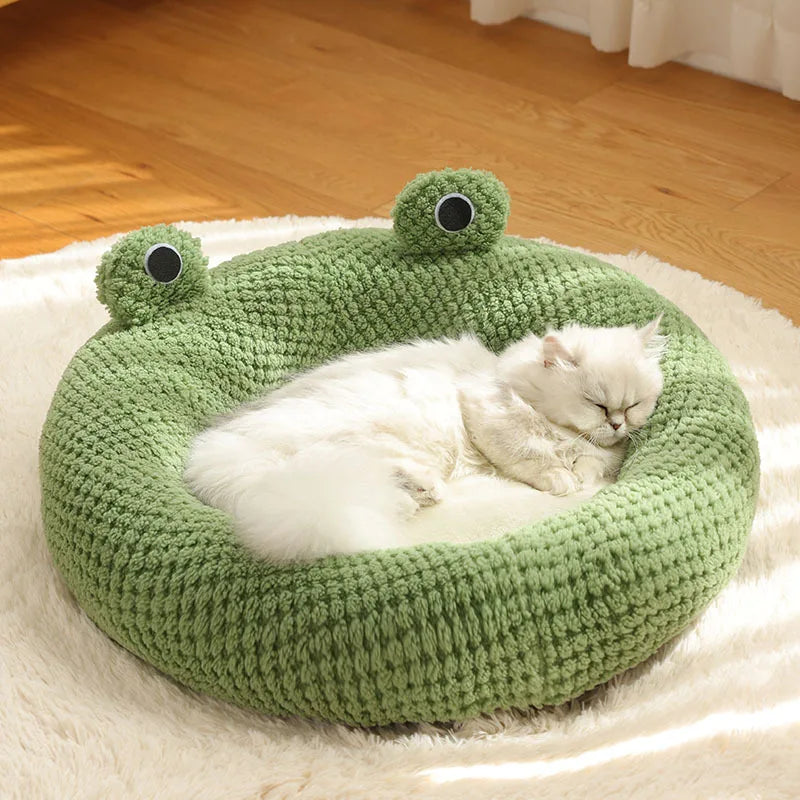 Nid grenouille